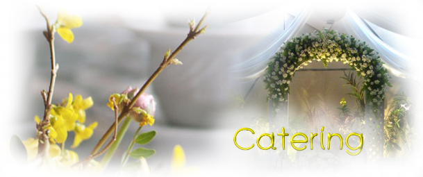 CATERING ΒΑΠΤΙΣΗΣ
